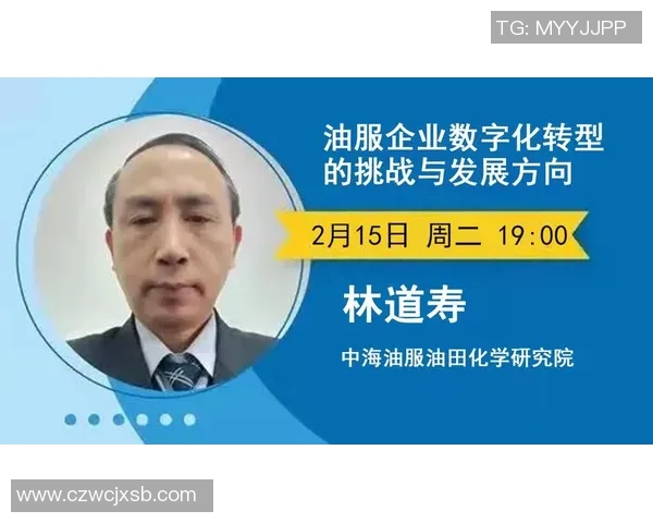 专业解析LNG市场转型策略与未来发展趋势探讨